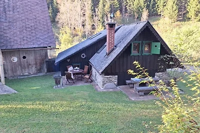 Casa vacanze Vacanza di relax Bad St. Leonhard im Lavanttal