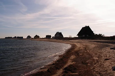 exclusives Hausboot "Opa Wilhelm"