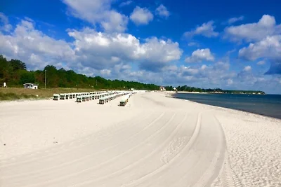 Strandvilla Miramare Whg. Seeigel