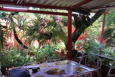 Casa El Arqueólogo Appartement 1