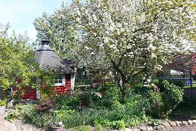 Süderhof Fehmarn - Haus an der