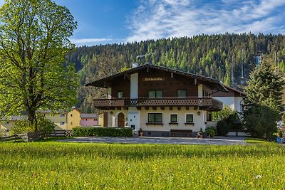 Appartamento Vacanza con famiglia Ramsau am Dachstein