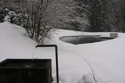 Vakantieappartement Gezinsvakantie Sankt Englmar