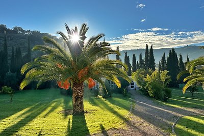 Vakantiehuis Ontspannende vakantie Cadiz