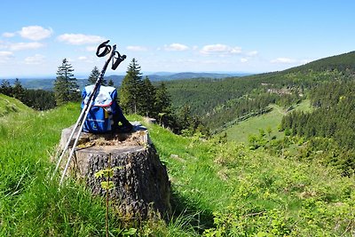 Vakantiehuis Ontspannende vakantie Oberhof