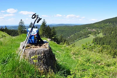 Ferienhaus Nr. 3 Sporthotel Oberhof