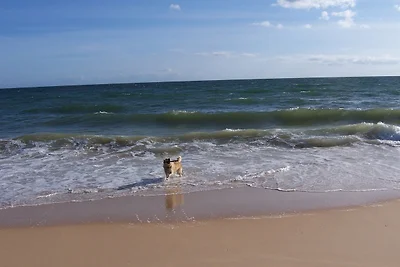 Charmante Villa mit 3 Schlafzimmer