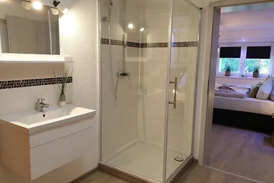 Eifel Dream Krausbuche