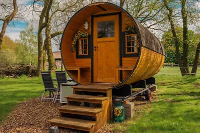 Kuhle Auszeit - Fass Sonnenblume