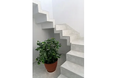 Casa Amigos de Barcelo Appartement