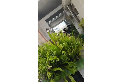 Vakantieappartement Gezinsvakantie Santiago de Cuba
