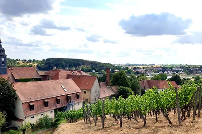 Holiday flat family holiday Meißen
