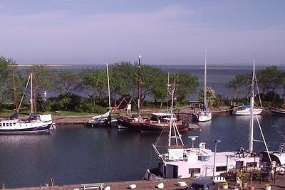 Familienwohnung Harbour View