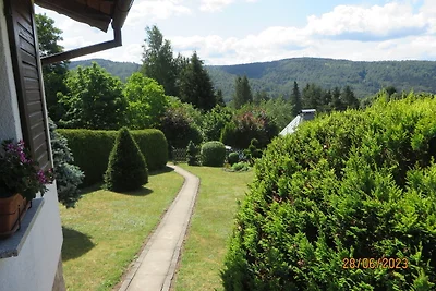 Bergblick