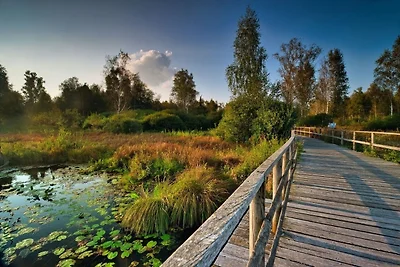 Vakantieappartement Gezinsvakantie Bad Buchau