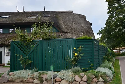 Eck - Reethaus "Sturmhaube"