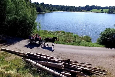 Stroblhof, Appartement Kirnberg