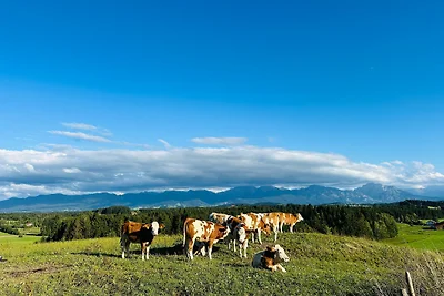 Langegger Alm - Almhütte