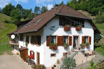 Vakantieappartement Gezinsvakantie Kleines Wiesental