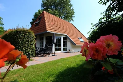 SV4 Lale Andersen 24 - Buhne 24