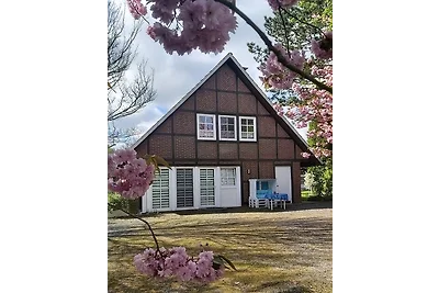 Apartamento Vacaciones familiares Jork