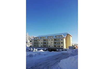 Vakantieappartement Gezinsvakantie Feldberg