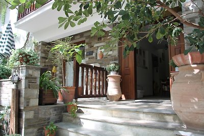 PLATANOFYLLA Studio No3