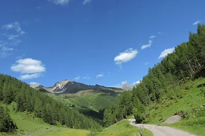 Vakantiehuis Ontspannende vakantie Außervillgraten