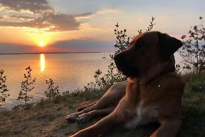 Strandhaus Fiete - Haus Walfisch -