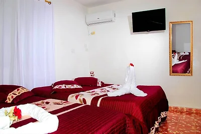 HOSTAL CIRO Y LOURDES Appartement 2