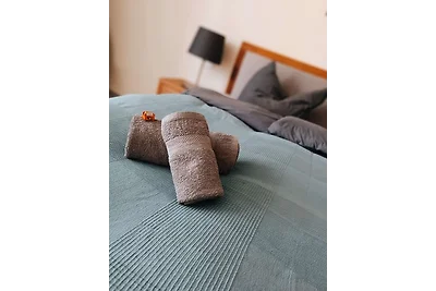 Apartment Harzgeflüster