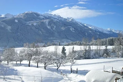 Bauernhaus Hollersbach