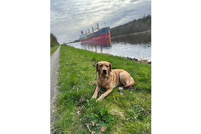 Vakantieappartement Gezinsvakantie Bornholt