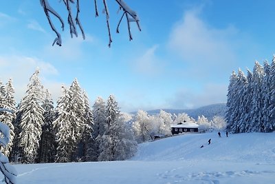 Vakantieappartement Gezinsvakantie Goslar