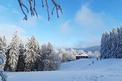 Appartamento Vacanza con famiglia Goslar
