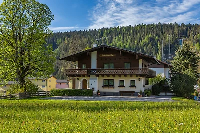 Soldanella 2 by Alpenidyll