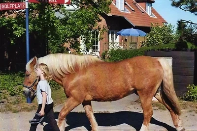 FeWo mit Terasse u. Garten am