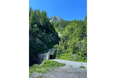 Ferienwohnung Dalmatiner