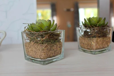 Ferienwohnung Carstensen Nr.1