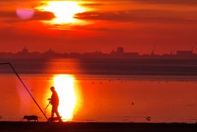 Vakantiehuis Ontspannende vakantie Hippolytushoef