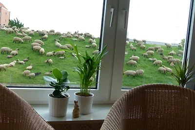 Appartement Vacances avec la famille Hollern-Twielenfleth