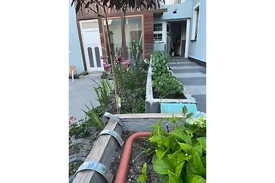 Rim Ferienwohnung in Lauchhammer