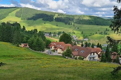 Appartamento Vacanza con famiglia Todtnau