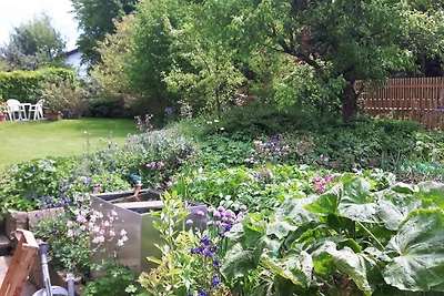 Ferienwohnung Pfänder