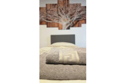 3100: Apartment RATZERSDORFER SEEN