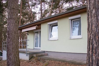 Vakantiehuis Ontspannende vakantie Feldberg