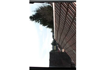 Fewo HARZ Benneckenstein