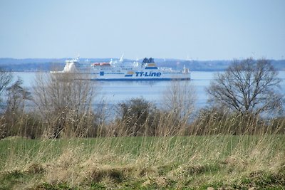 Ferienhaus Bolliger