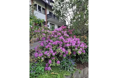 Ferienwohnung Bergblick