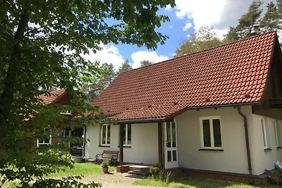Domek letniskowy Urlop wypoczynkowy Rheinsberg